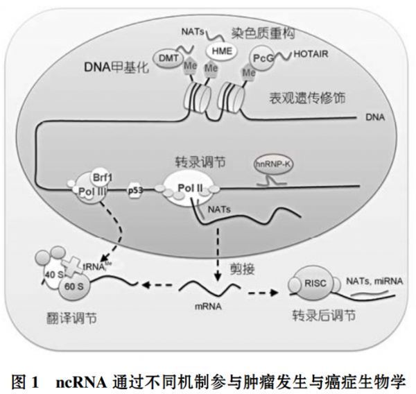 微信图片_20170928163213.jpg