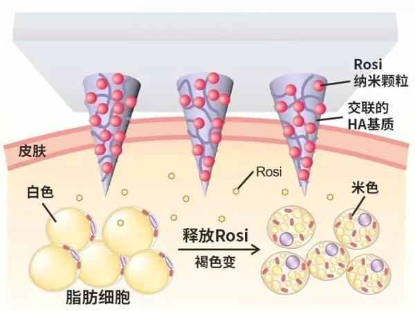 微信图片_20171010095303.jpg