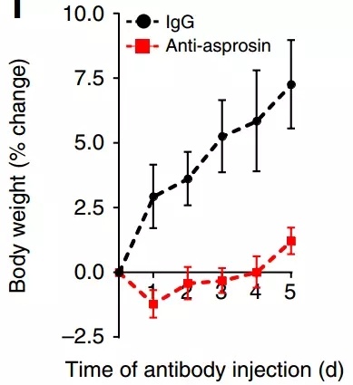 640.webp (6).jpg