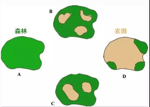 微信图片_20180203132206.png