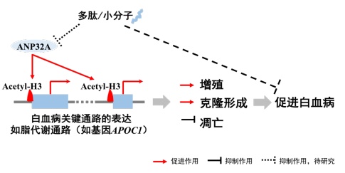 QQ 截图 20180309073837