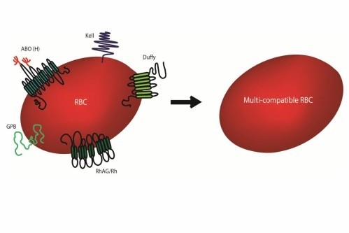 27April gene editing article