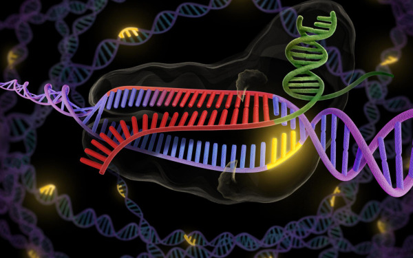 crispr-cas9-enzyme-double-stranded-dna-2157x1348