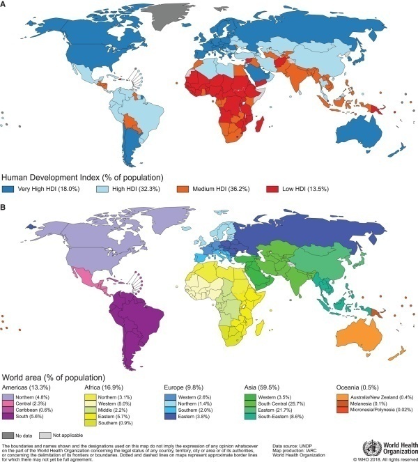 caac21492-fig-0002-m.webp.jpg